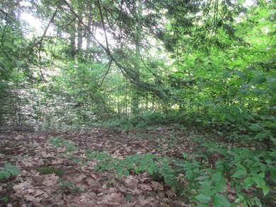 239 Route 114, Bradford, NH 03221 - photo 3