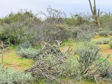 Hiking and Biking Trails Near-By
