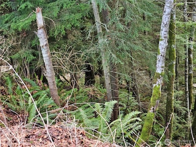 9999 E 5th St Lots 9-12 Blk 186, Port Angeles, WA 98362 - photo 6