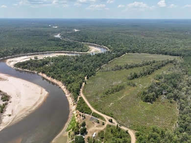 1 County Road 4085, Belgrade, TX 75928 - photo 4