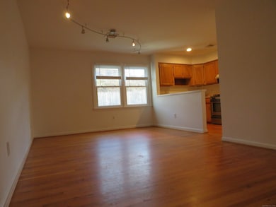 7 Dean St unit 304, Danbury, CT 06810 - photo 5