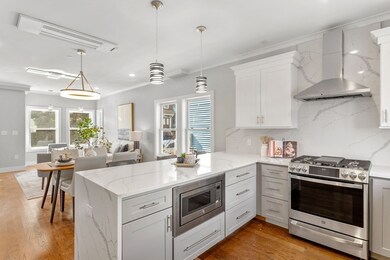 28 Langdon St unit 28, Boston, MA 02119 - photo 2