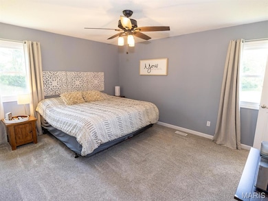 14816 Highway Uu, Bowling Green, MO 63334 - photo 7