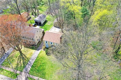 View of bird's eye view