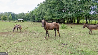 3521 Macon Hwy, Watkinsville, GA 30677 - photo 4