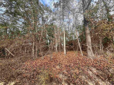 Parcel  A Wiggum Rd & St James Rd, Cochran, GA 31014 - photo 7