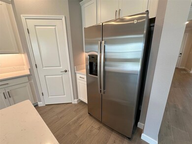 17216 Mango Shay Ct, Land O' Lakes, FL 34638 - photo 6