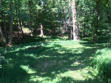 7689 Callands Rd, Chatham, VA 24531 - photo 3