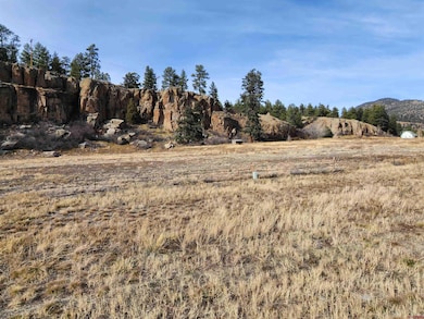 1-R W Hwy 160, South Fork, CO 81154 - photo 4