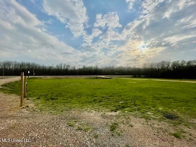 15763 Highway 4 E, Senatobia, MS 38668 - photo 5
