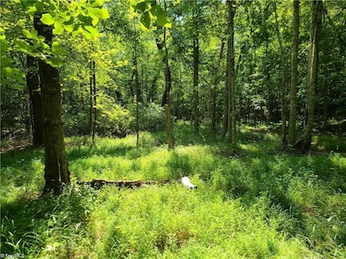 00 Grassy Knob Rd unit 12, Pilot Mountain, NC 27041 - photo 3