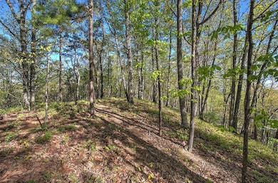 0 Mckibben Rd unit 210, Buchanan, GA 30113 - photo 5