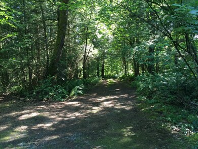 2556 Goshen Rd, Bellingham, WA 98226 - photo 2