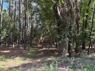 312 Weeks Landing Rd, Cameron, SC 29030 - photo 3