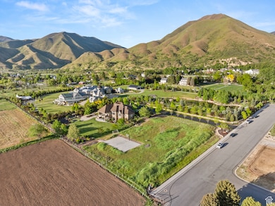 View of mountain background