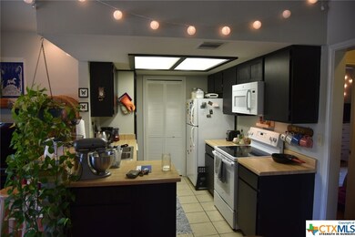 506 W San Antonio St unit 106, San Marcos, TX 78666 - photo 2