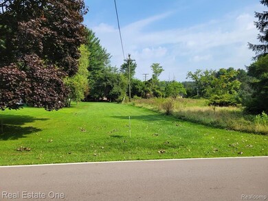 ABC Hemingway Lake, Otter Lake Vlg, MI 48464 - photo 7