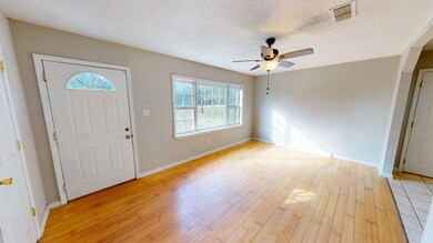 1106 Janie Brooks St, Barwick, GA 31720 - photo 4