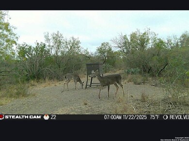 A-735 Franklin Ranch Rd, Tilden, TX 78027 - photo 4