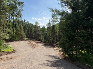 Pcl 41 PRT NW Sw -, Plum Lake, WI 54512 - photo 5