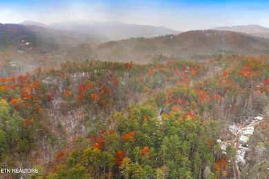 0 Old 15th Rd, Hartford, TN 37753 - photo 6