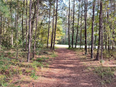 0 SE 47th St, Ocala, FL 34480 - photo 2