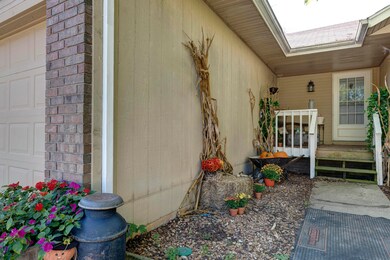 Elmview (32)