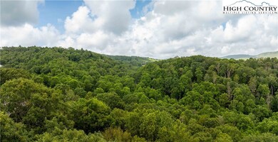 TBD Lot 122 Firethorn Trail, Blowing Rock, NC 28605 - photo 7