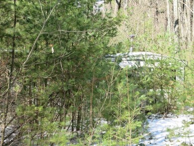 262 Old Warren Rd, Palmer, MA 01069 - photo 5