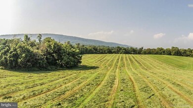 0 Jefferson Pike unit 1000240744, Knoxville, MD 21758 - photo 6