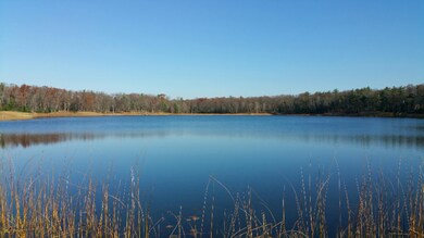 Shingle Mill Lake #7