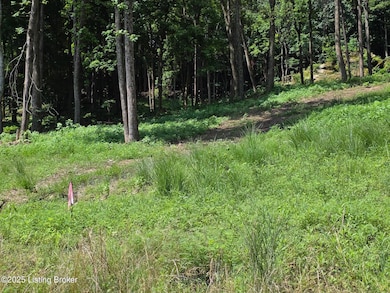 2 Cave Creek Rd, Falls of Rough, KY 40119 - photo 5