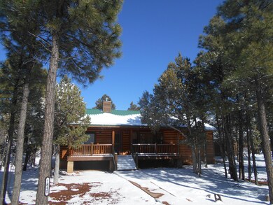 Snow Photo