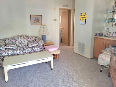 6002 Spring Lake Cir unit 155, Zephyrhills, FL 33540 - photo 7