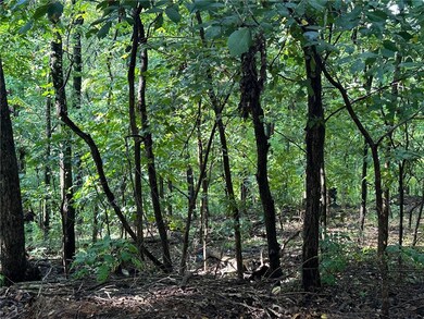 0 Pimlico Ln unit 1258601, Bella Vista, AR 72714 - photo 2