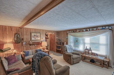 Living room featuring wood walls and carpet