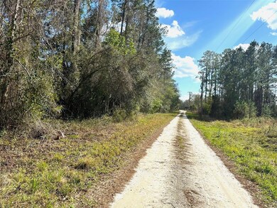000 State Rd, Hawthorne, FL - photo 5