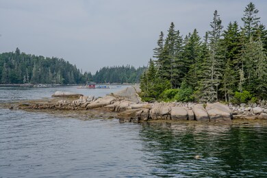 DSC08674
