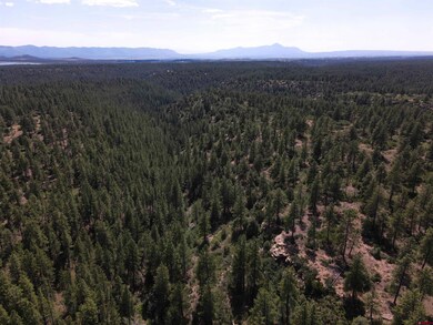 37494 Rd T 7, Mancos, CO 81328 - photo 7