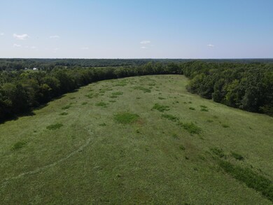 DJI_0747