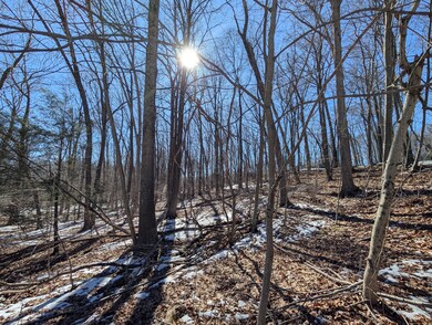 view of beginning of 5 acre lot