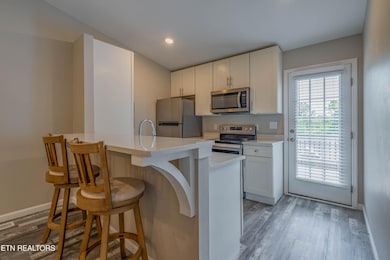 815 Calypso Way, Knoxville, TN 37923 - photo 5