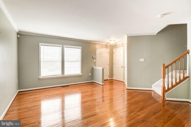 206 Hupps Hill Ct, Strasburg, VA 22657 - photo 3