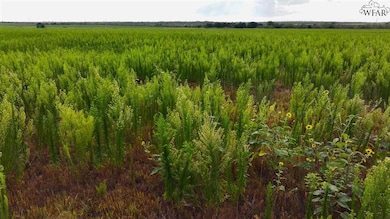 0 Highway 287, Quanah, TX 79252 - photo 3