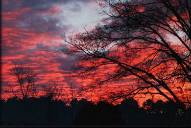 166 Dudala Way, Loudon, TN 37774 - photo 4