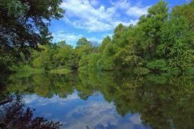 One of Bella Vista beautiful lakes.