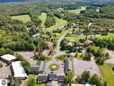 6500 Schuss Mountain Ln unit 112, Mancelona, MI 49659 - photo 4