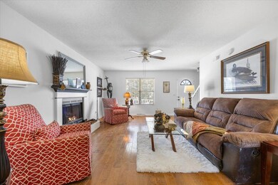 living Room With Fireplace