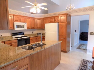 841 Holly Oak Ln, Aurora, OH 44202 - photo 4