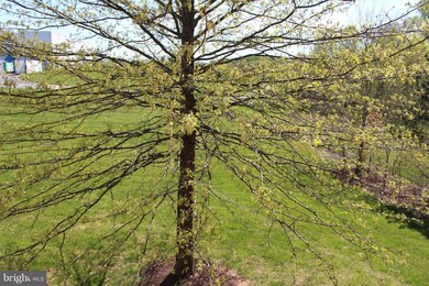 12932 Boggy Trail Way unit 64, Germantown, MD 20876 - photo 6